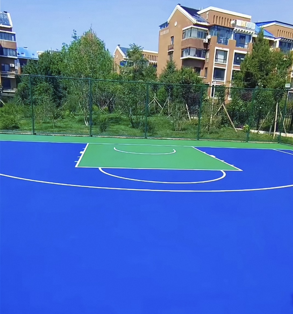 昂进体育案例图片