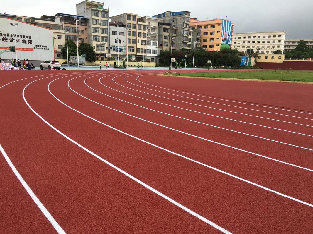 丽水市橡胶跑道塑胶跑道材料 - 方案